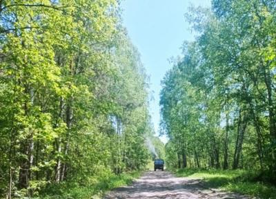 Леса Рязанской области начали обрабатывать от непарного шелкопряда